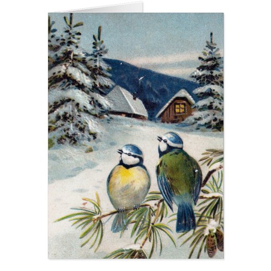 Antike Winterpostkarte mit Vögeln (Vorne)