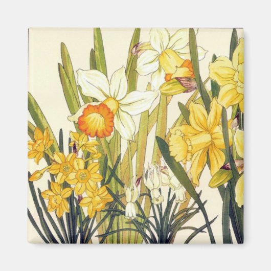 Antike Wood Block Print Daffodils Magnet (Vorne)