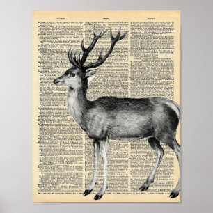 Antike Wörterbuchseite mit Hirsch Poster