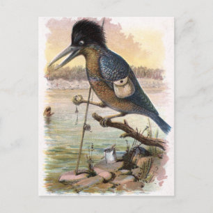 Antike Zeichnung: Der fischende Eisvogel Postkarte
