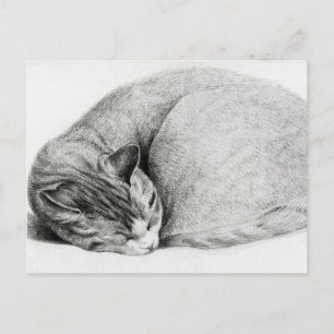 Antike Zeichnung eines Kätzchens Postkarte