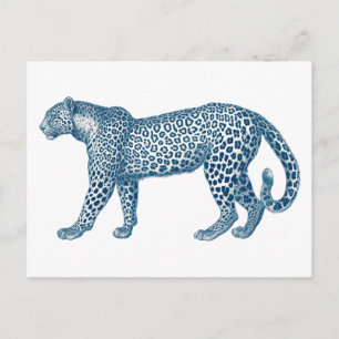 Antike Zeichnung eines Leoparden Postkarte