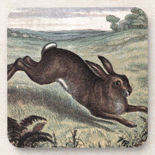 Antike Zeichnung: Laufender Hase auf einem Feld Getränkeuntersetzer