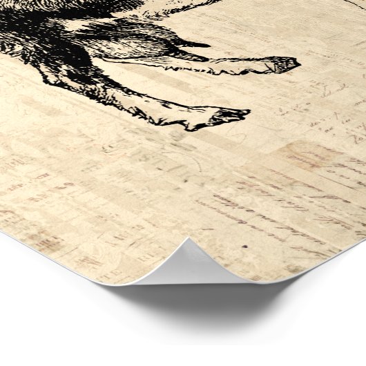 Antike ZiegenIllustration mit Skripthintergrund Poster (Ecke)