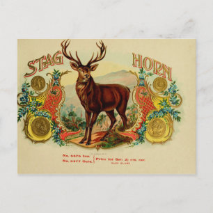 Antike Zigarrenkistchen-Etikette Postkarte
