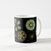 "Antiken-" Diatomee-Kaffee-Tasse Kaffeetasse (VorderseiteRechts)