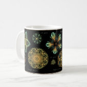 "Antiken-" Diatomee-Kaffee-Tasse Kaffeetasse (Vorderseite Links)