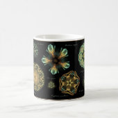 "Antiken-" Diatomee-Kaffee-Tasse Kaffeetasse (Mittel)