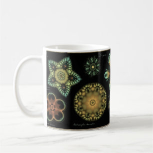 "Antiken-" Diatomee-Kaffee-Tasse Kaffeetasse