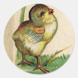 Antiker Baby-Osterküken-Rundaufkleber Runder Aufkleber