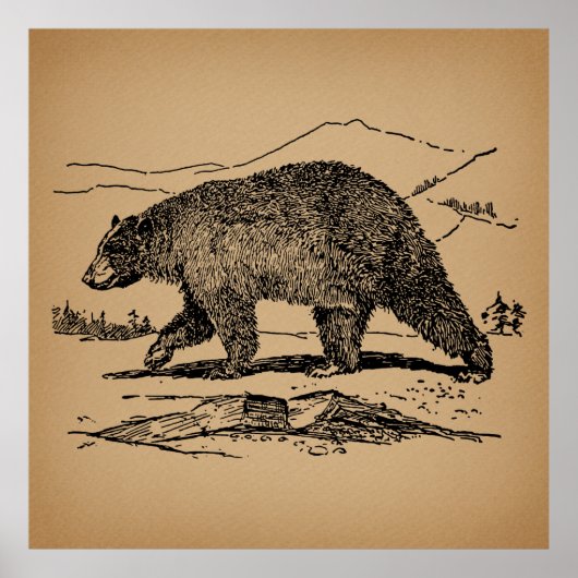 Antiker Bär Art Illustrierter Vintager Bär Poster (Vorne)