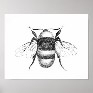 Antiker Bienen-Druck Poster