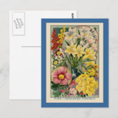 Antiker Blumenkatalog Postkarte (Vorne/Hinten)