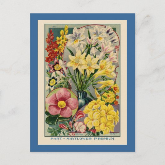 Antiker Blumenkatalog Postkarte (Vorderseite)