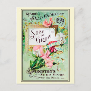 Antiker Blumensamen-Katalog für den Garten Postkarte