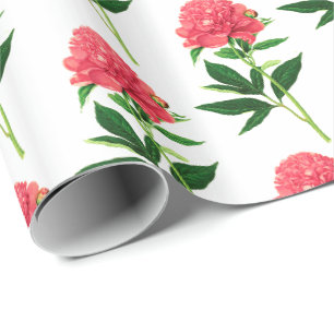 Antiker botanischer Druck, Korallenrosa Pfingstros Geschenkpapier
