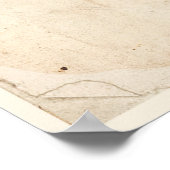 Antiker Botanischer Print Poster Passion Fower (Ecke)