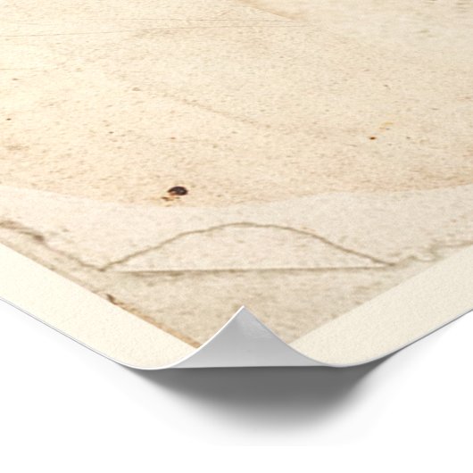 Antiker Botanischer Print Poster Passion Fower (Ecke)