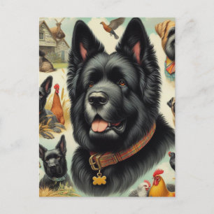 Antiker Bouvier des Flandres nahtlos Postkarte