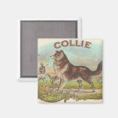 Antiker Collie Magnet (Vorderseite/Rückseite)