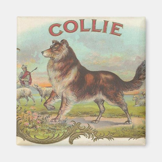 Antiker Collie Magnet (Vorne)