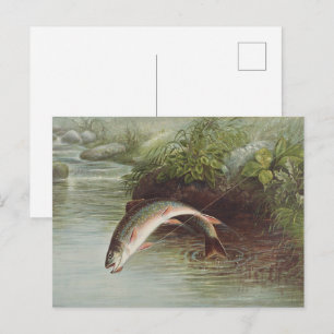 Antiker Druck eines springenden Bachforellen beim Postkarte
