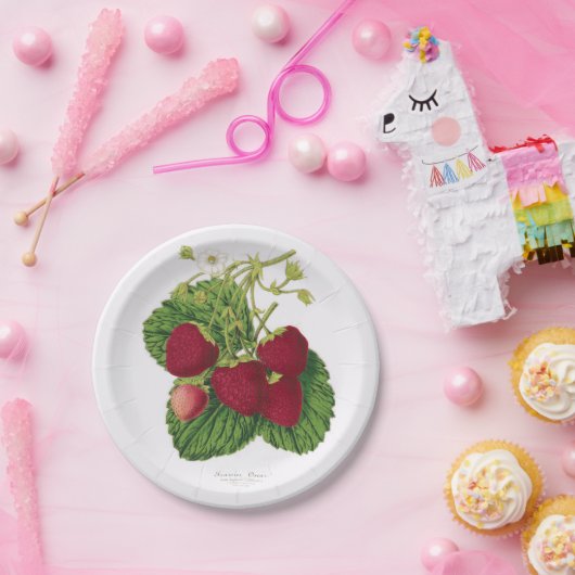 Antiker Erdbeerpicknick-Pappteller Pappteller (Party)