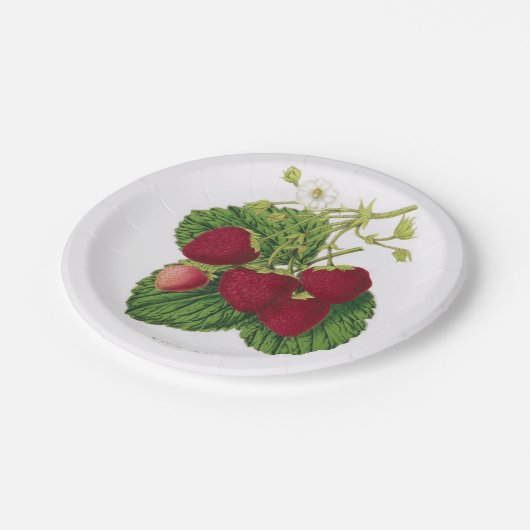 Antiker Erdbeerpicknick-Pappteller Pappteller (Schrägansicht)