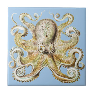 Antiker Ernst Haeckel Oktopus Nautisches Meer Lebe Fliese