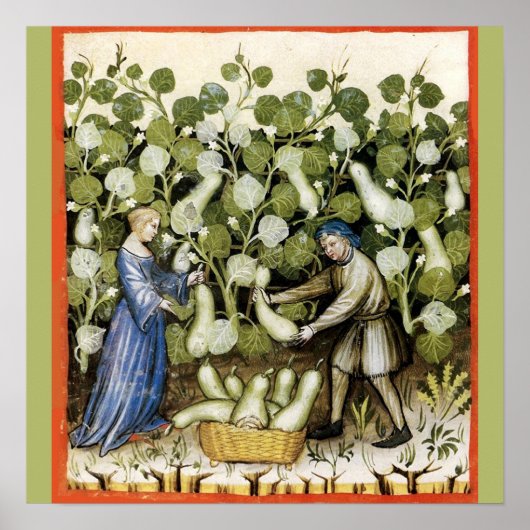 ANTIKER ERNTESQUASH POSTER (Vorne)