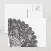Antiker Federfächer Postkarte (Vorne/Hinten)