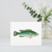 Antiker Fisch Postkarte (Stehend Vorderseite)