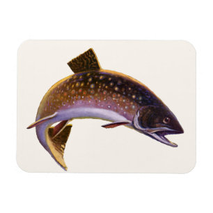 Antiker Fisch, Sportfischer Angler Magnet