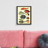 antiker Fischdruck Leinwanddruck (Insitu (Wohnzimmer))