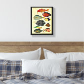 antiker Fischdruck Leinwanddruck (Insitu (Schlafzimmer))