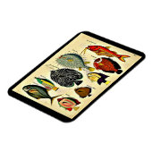 antiker Fischdruck Magnet (Linke Seite)