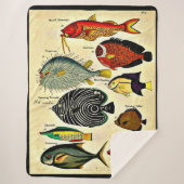 antiker Fischdruck Sherpadecke (Vorderseite)