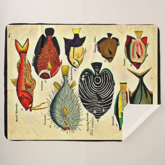 antiker Fischdruck Sherpadecke (Vorderseite (Horizontal))