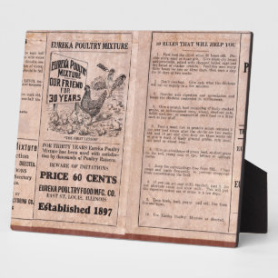 Antiker Füttre Fotoplatte