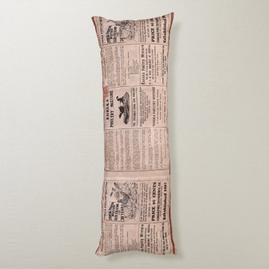 Antiker Füttre Seitenschläferkissen (Rückseite (Vertikal))