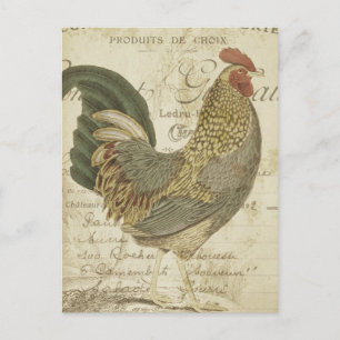 Antiker Hahn Braune Federn Französische Ephemera Postkarte