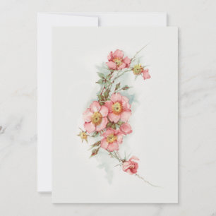 Antiker handgemalter Stil Wilde Rosen Mitteilungskarte