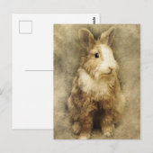 Antiker Hase Postkarte (Vorne/Hinten)