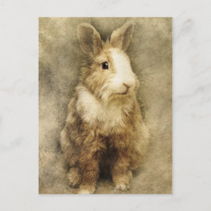 Antiker Hase Postkarte