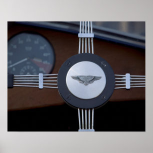 antiker Jaguar 3 Poster