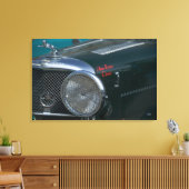 antiker Jaguar Leinwanddruck (Insitu (Wohnzimmer))