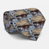 antiker krawatte (Gerollt)