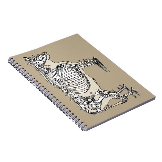 Antiker Kuh Skeleton Knochen Spaß Notizblock (Rechte Seite)