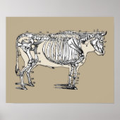 Antiker Kuh Skeleton Knochen Spaß Poster (Vorne)