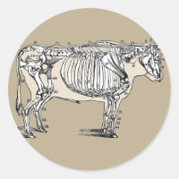 Antiker Kuh Skeleton Knochen Spaß